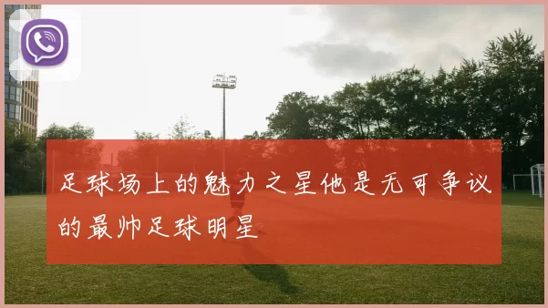 足球场上的魅力之星他是无可争议的最帅足球明星