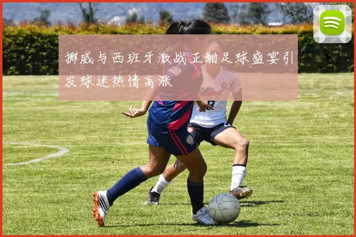 挪威与西班牙激战正酣足球盛宴引发球迷热情高涨