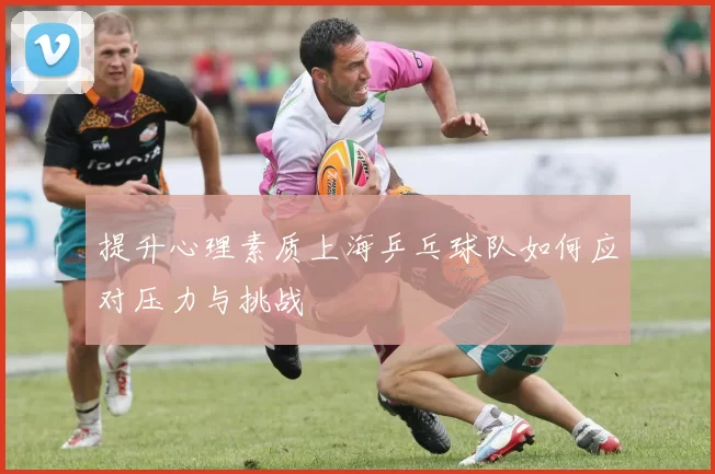 提升心理素质上海乒乓球队如何应对压力与挑战
