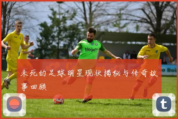 未死的足球明星现状揭秘与传奇故事回顾