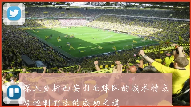 深入分析西安羽毛球队的战术特点与控制打法的成功之道