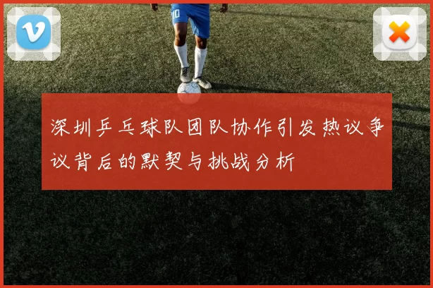 深圳乒乓球队团队协作引发热议争议背后的默契与挑战分析