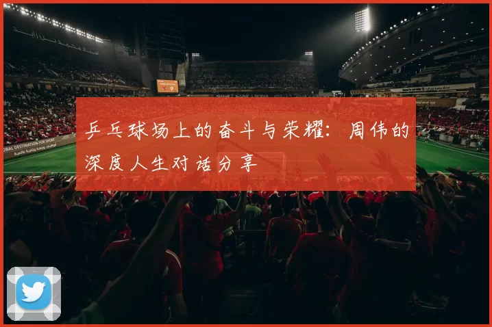 乒乓球场上的奋斗与荣耀：周伟的深度人生对话分享