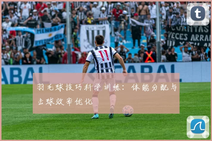 羽毛球技巧科学训练：体能分配与击球效率优化