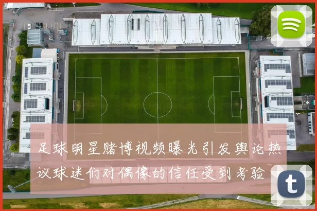 足球明星赌博视频曝光引发舆论热议球迷们对偶像的信任受到考验