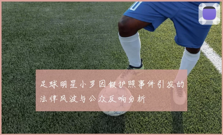 足球明星小罗因假护照事件引发的法律风波与公众反响分析
