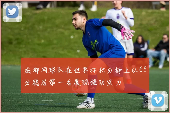 成都网球队在世界杯积分榜上以65分稳居第一名展现强劲实力