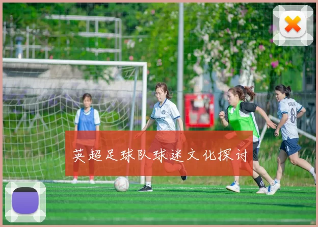 英超足球队球迷文化探讨