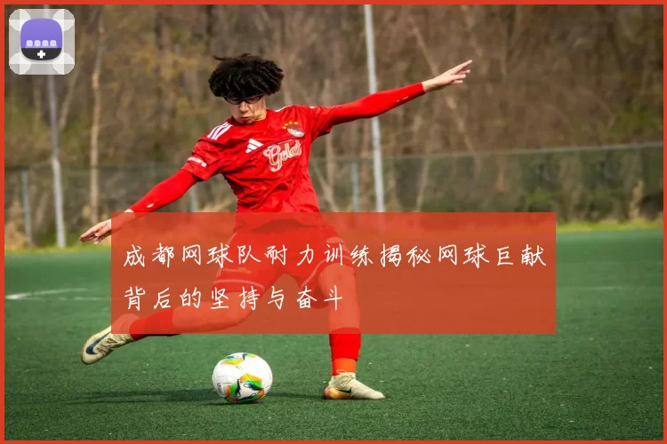 成都网球队耐力训练揭秘网球巨献背后的坚持与奋斗