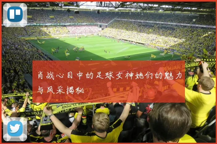 肖战心目中的足球女神她们的魅力与风采揭秘