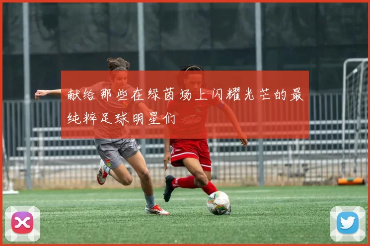 献给那些在绿茵场上闪耀光芒的最纯粹足球明星们