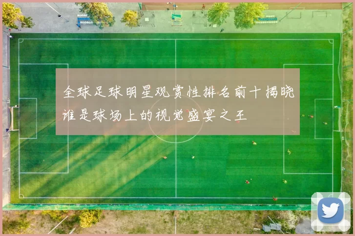 全球足球明星观赏性排名前十揭晓谁是球场上的视觉盛宴之王