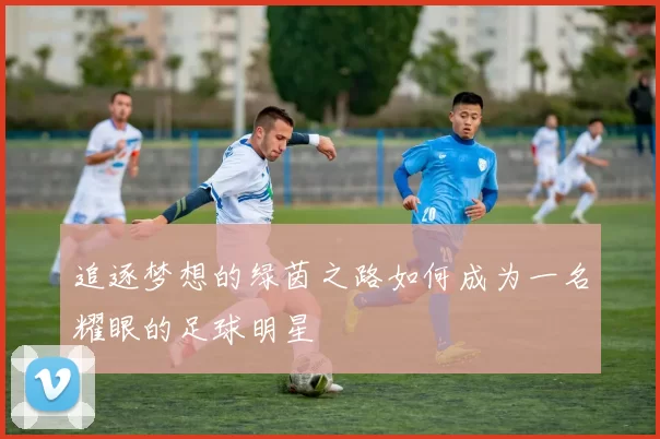 追逐梦想的绿茵之路如何成为一名耀眼的足球明星