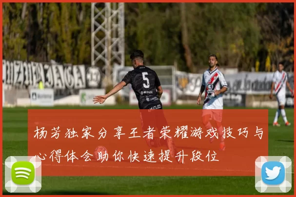 杨芳独家分享王者荣耀游戏技巧与心得体会助你快速提升段位