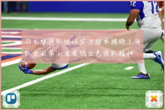 羽毛球团队协作实力榜单揭晓上海队荣获第七名展现出色团队精神