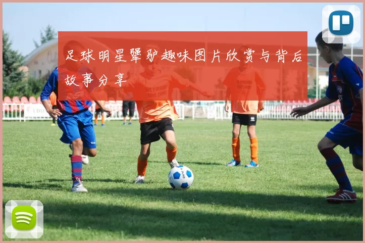 足球明星犟驴趣味图片欣赏与背后故事分享